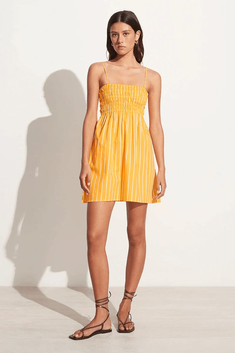 Josefine Mini Dress - Adia Stripe Print Citrus